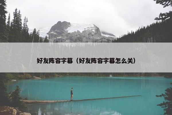 好友阵容字幕（好友阵容字幕怎么关）