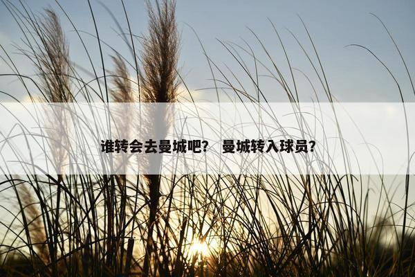 谁转会去曼城吧？ 曼城转入球员？