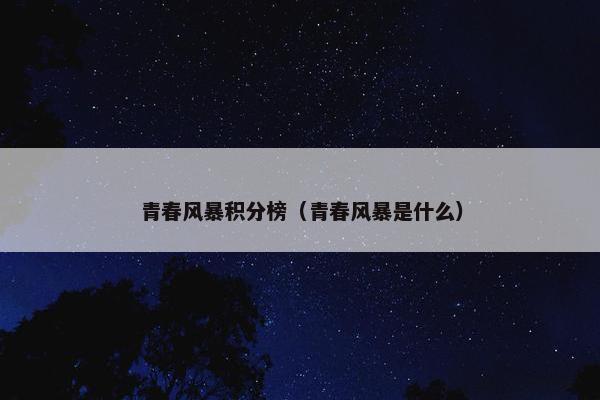 青春风暴积分榜（青春风暴是什么）