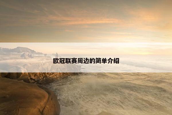 欧冠联赛周边的简单介绍