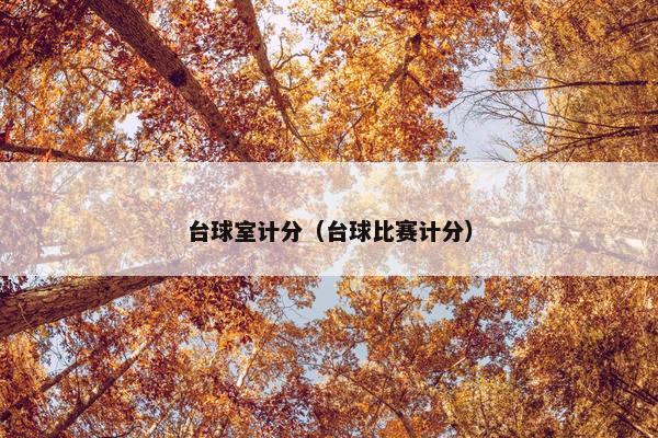台球室计分（台球比赛计分）