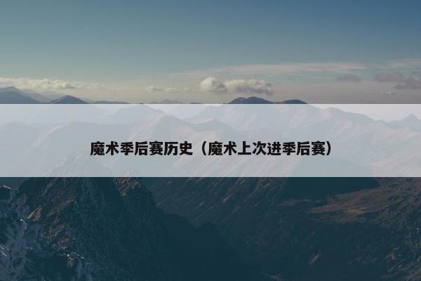 魔术季后赛历史（魔术上次进季后赛）