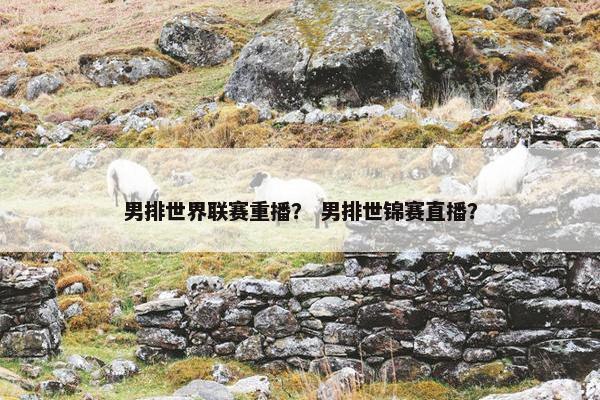 男排世界联赛重播？ 男排世锦赛直播？