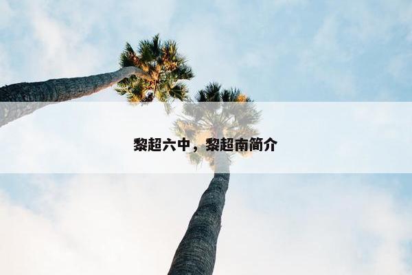 黎超六中，黎超南简介