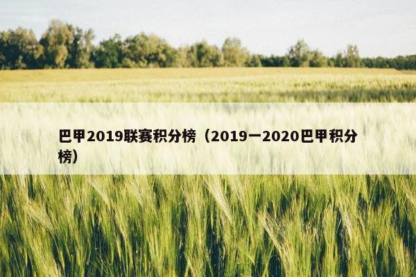 巴甲2019联赛积分榜（2019一2020巴甲积分榜）