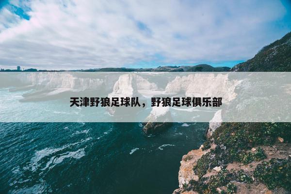天津野狼足球队，野狼足球俱乐部