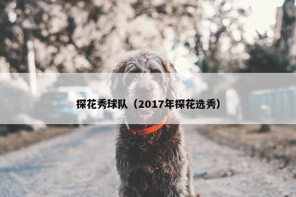 探花秀球队（2017年探花选秀）
