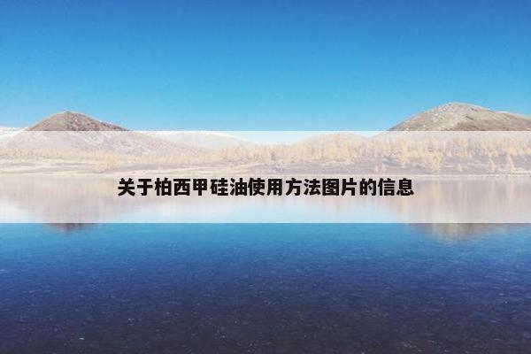关于柏西甲硅油使用方法图片的信息
