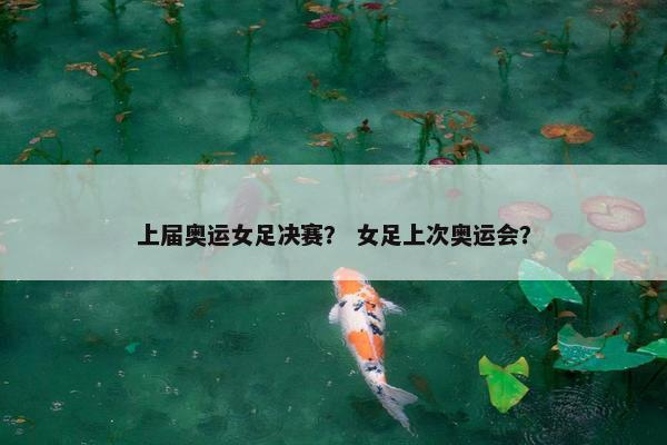 上届奥运女足决赛？ 女足上次奥运会？