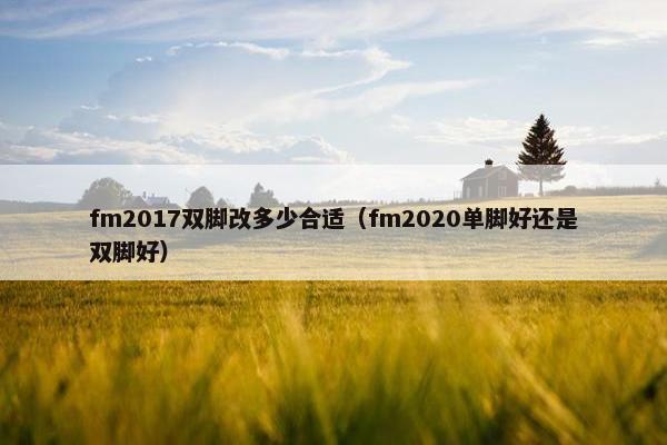 fm2017双脚改多少合适（fm2020单脚好还是双脚好）