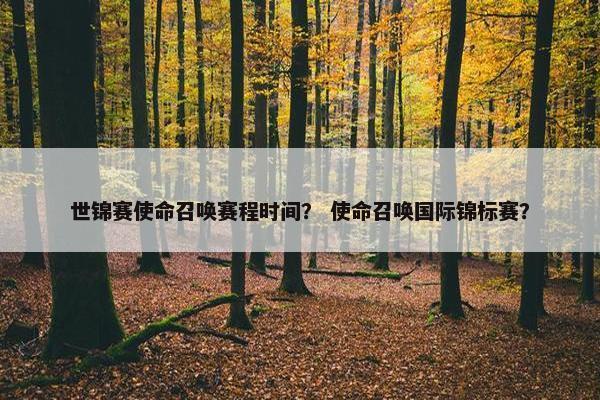 世锦赛使命召唤赛程时间？ 使命召唤国际锦标赛？