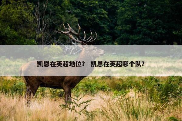 凯恩在英超地位？ 凯恩在英超哪个队？