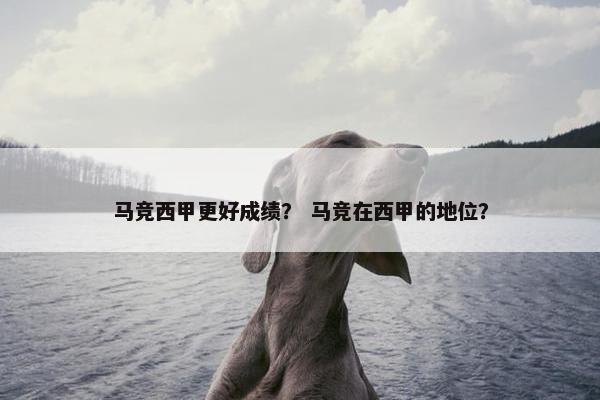 马竞西甲更好成绩？ 马竞在西甲的地位？