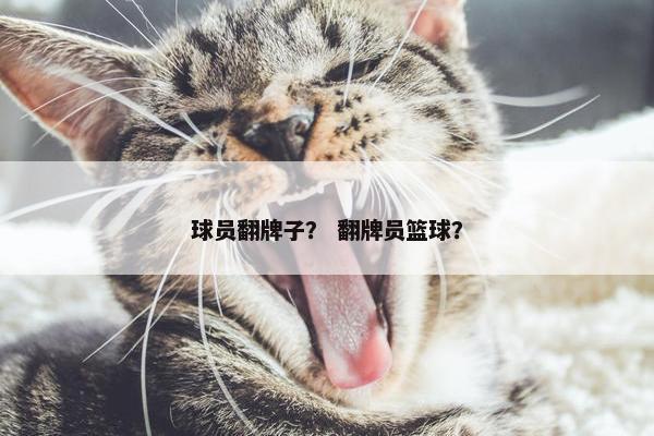 球员翻牌子？ 翻牌员篮球？