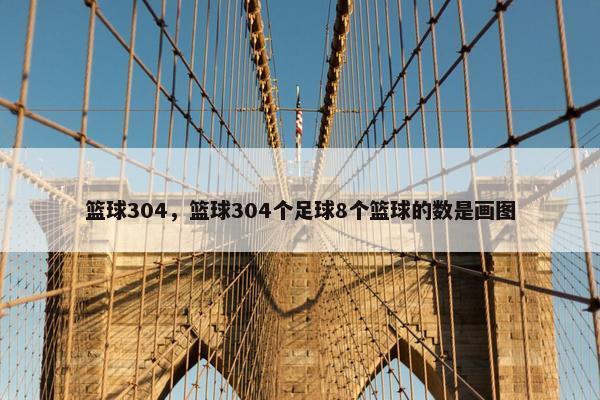 篮球304，篮球304个足球8个篮球的数是画图