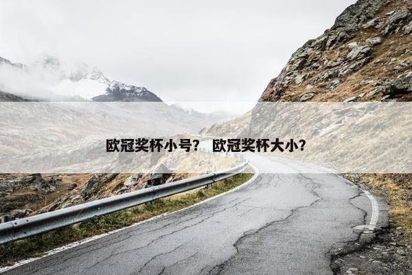 欧冠奖杯小号？ 欧冠奖杯大小？