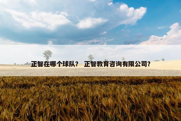 正智在哪个球队？ 正智教育咨询有限公司？