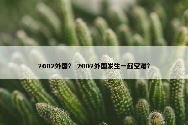 2002外国？ 2002外国发生一起空难？