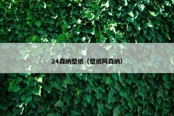 24森纳壁纸（壁纸阿森纳）