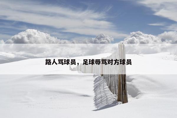 路人骂球员，足球辱骂对方球员