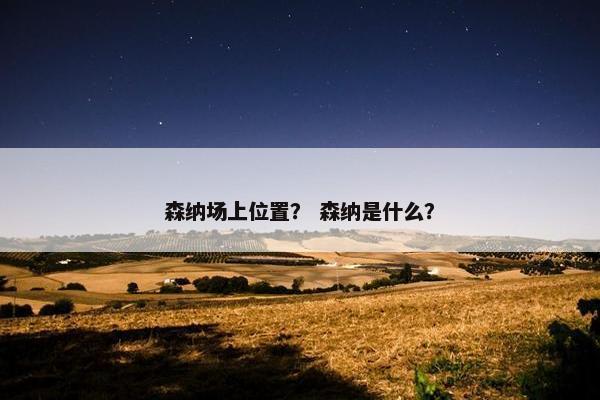 森纳场上位置？ 森纳是什么？