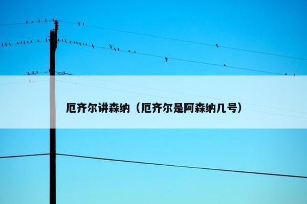 厄齐尔讲森纳（厄齐尔是阿森纳几号）