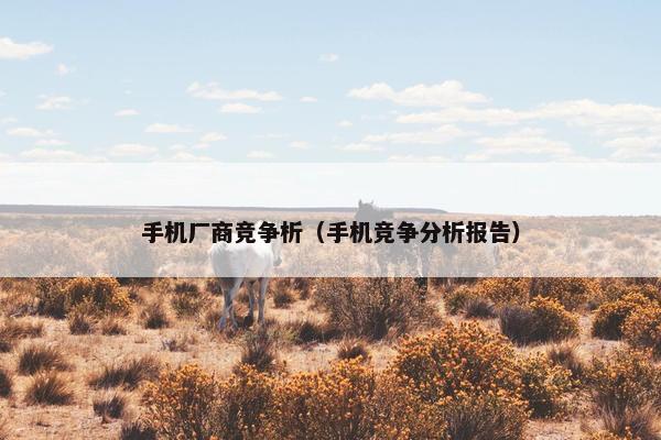 手机厂商竞争析（手机竞争分析报告）