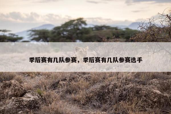 季后赛有几队参赛，季后赛有几队参赛选手