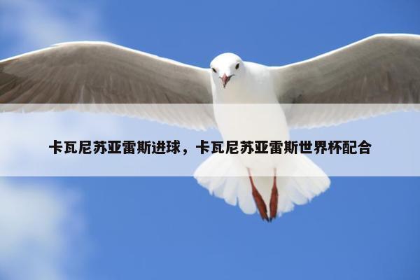 卡瓦尼苏亚雷斯进球，卡瓦尼苏亚雷斯世界杯配合