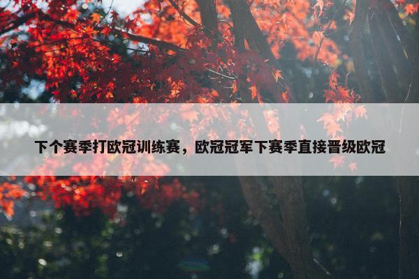 下个赛季打欧冠训练赛，欧冠冠军下赛季直接晋级欧冠