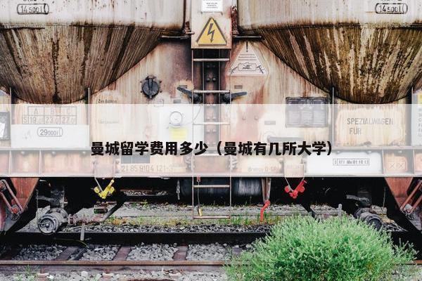 曼城留学费用多少（曼城有几所大学）