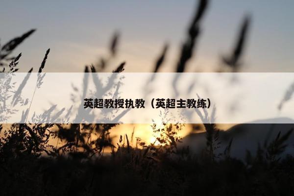 英超教授执教（英超主教练）