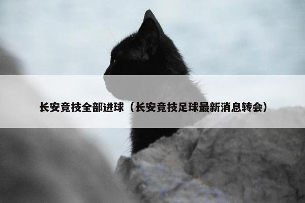 长安竞技全部进球（长安竞技足球最新消息转会）