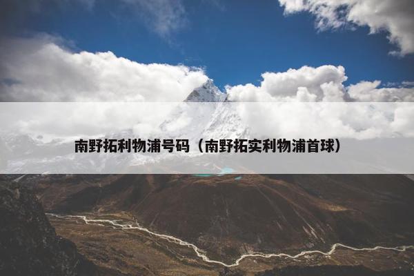 南野拓利物浦号码（南野拓实利物浦首球）