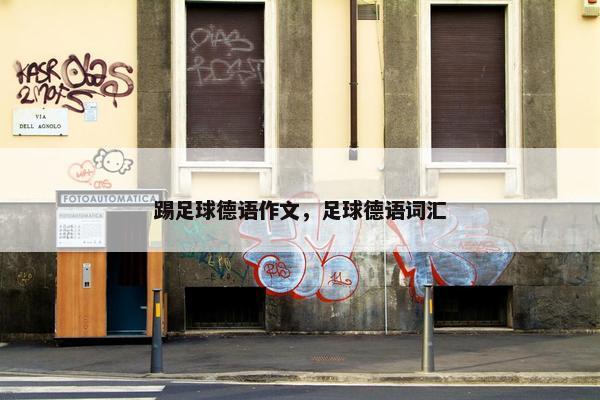 踢足球德语作文，足球德语词汇
