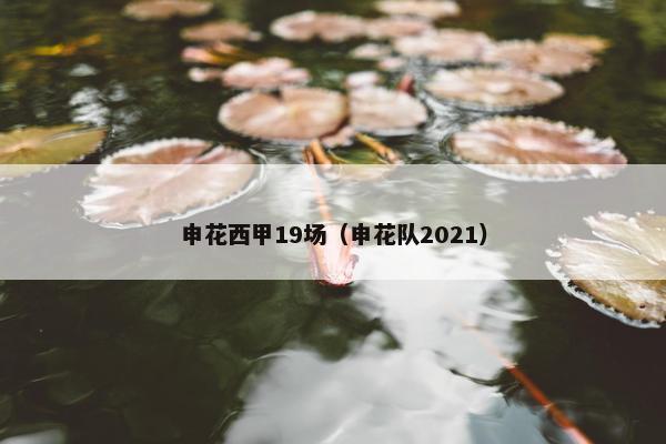 申花西甲19场（申花队2021）