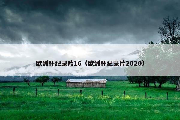 欧洲杯纪录片16（欧洲杯纪录片2020）