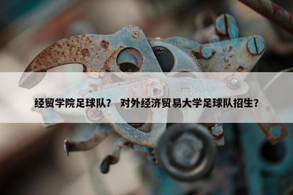 经贸学院足球队？ 对外经济贸易大学足球队招生？