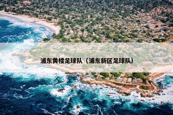 浦东黄楼足球队（浦东新区足球队）