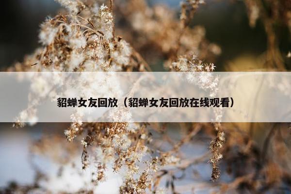 貂蝉女友回放（貂蝉女友回放在线观看）