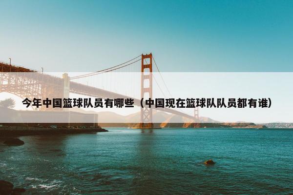 今年中国篮球队员有哪些（中国现在篮球队队员都有谁）