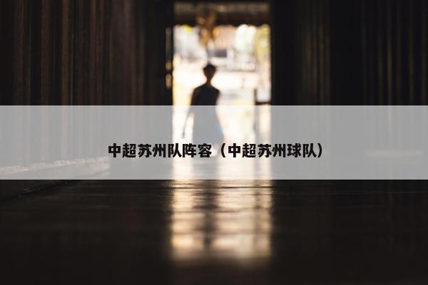中超苏州队阵容（中超苏州球队）