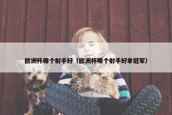 欧洲杯哪个射手好（欧洲杯哪个射手好拿冠军）