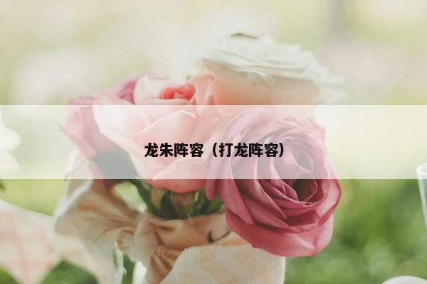 龙朱阵容（打龙阵容）