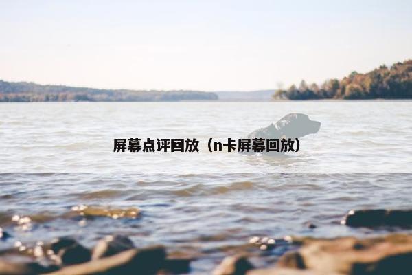 屏幕点评回放（n卡屏幕回放）