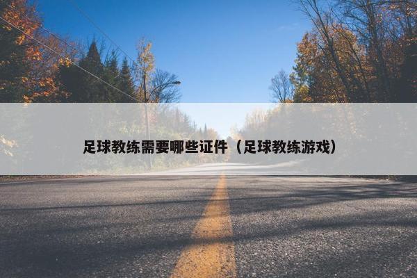 足球教练需要哪些证件（足球教练游戏）
