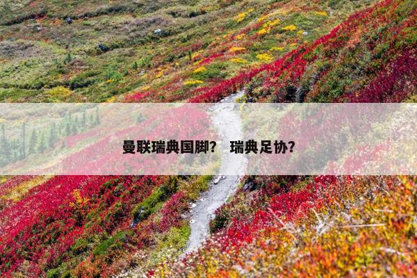 曼联瑞典国脚？ 瑞典足协？