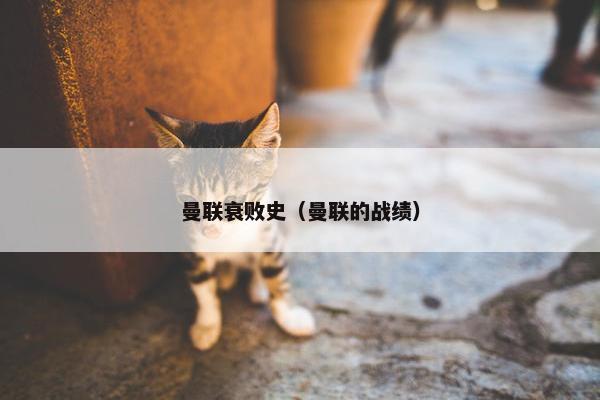 曼联衰败史（曼联的战绩）