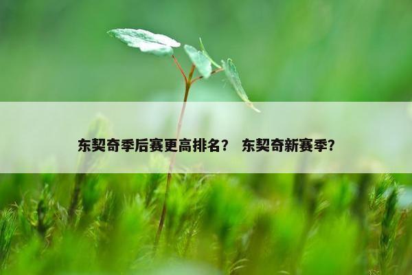 东契奇季后赛更高排名？ 东契奇新赛季？