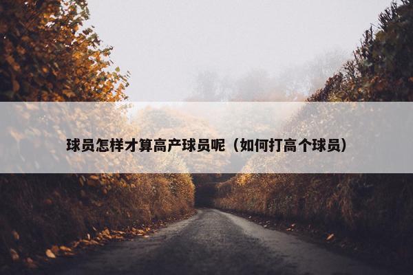 球员怎样才算高产球员呢（如何打高个球员）